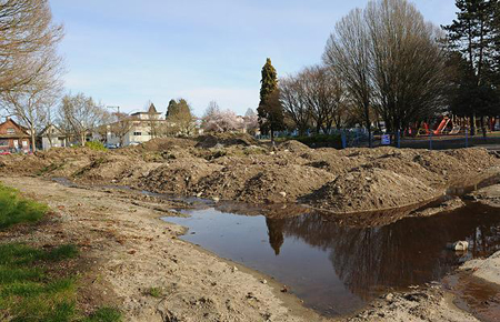 >The redevelopment at Mount Pleasant Park is under way and includes space for a new pool, should money become available.